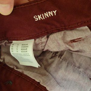 American Eagle Skinny Pants - Regular Length
